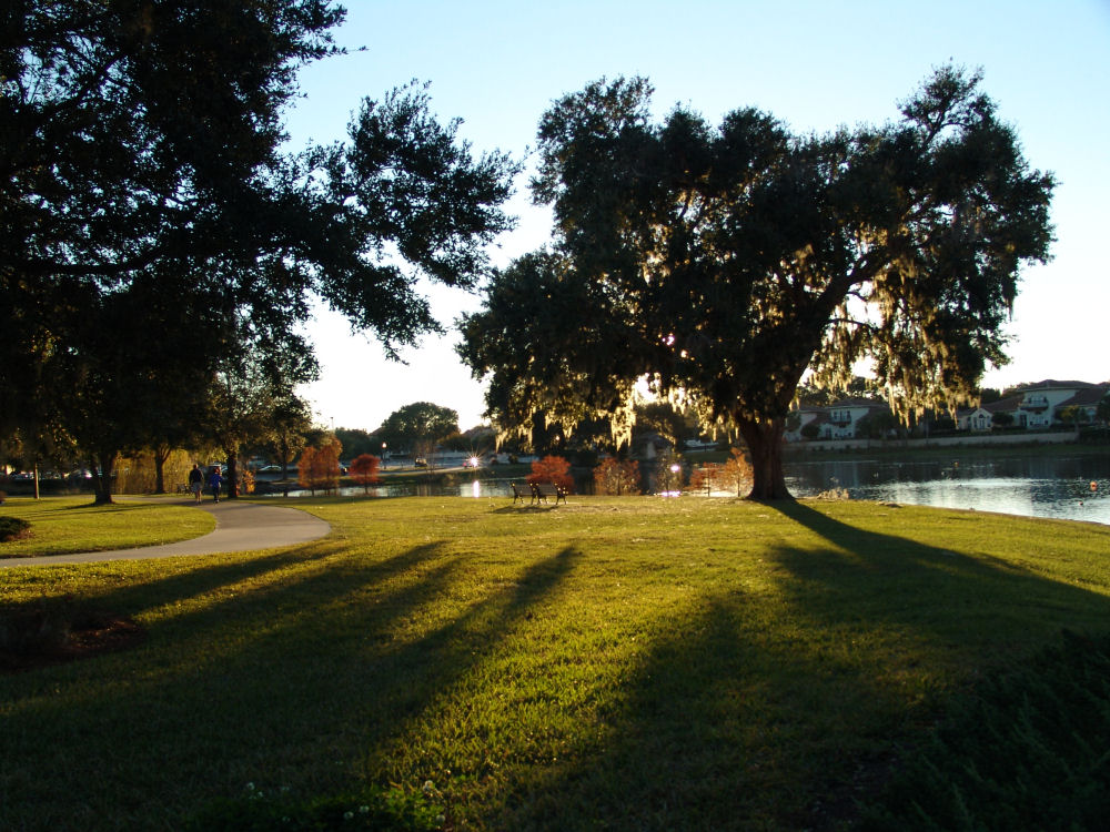 The Villages, FL : Late Afternoon in The Villages