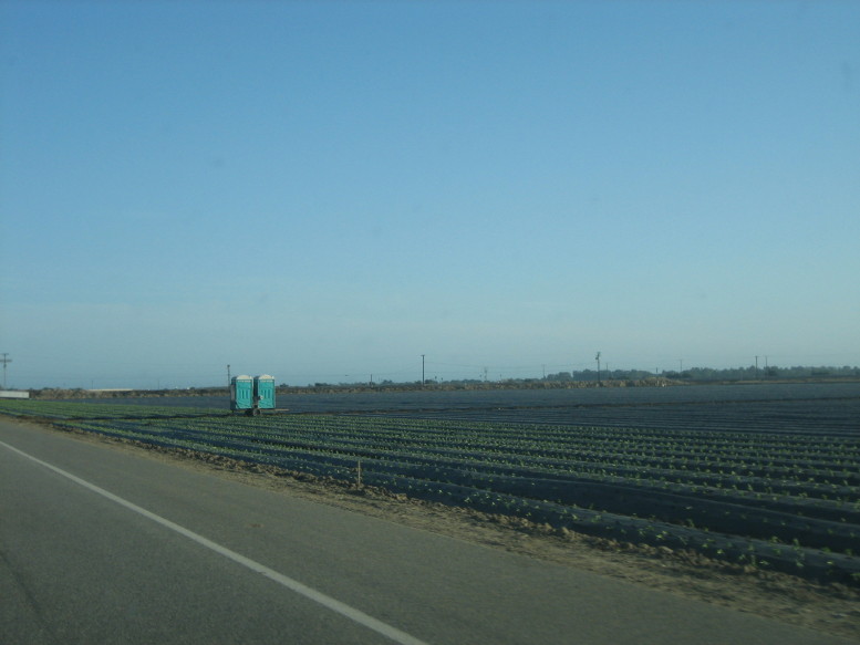 Camarillo, CA: Camarillo agriculture