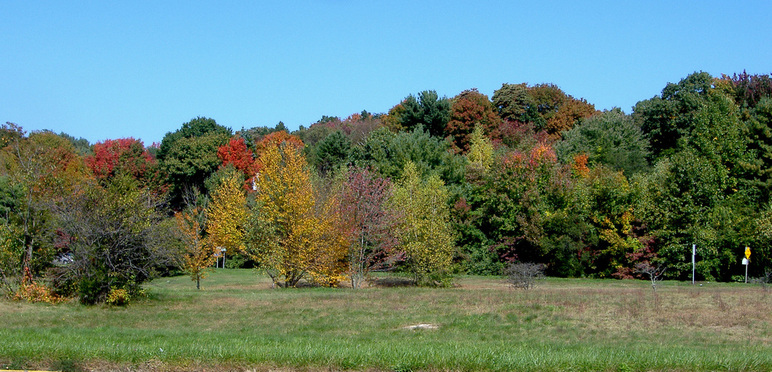 Trumbull, CT: Early Foliage