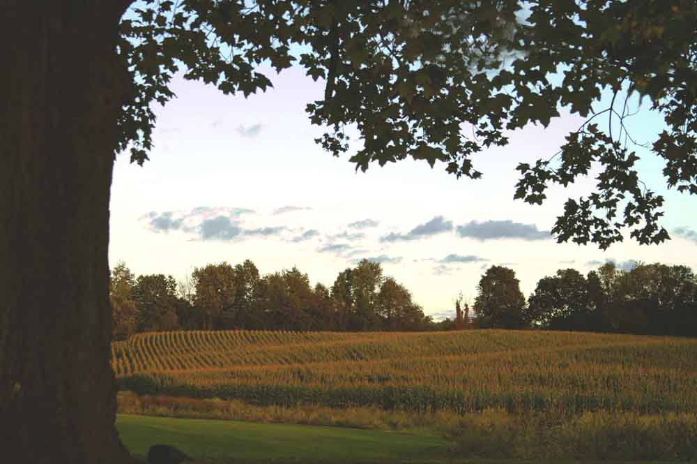 Cornwall on Hudson, NY : Harvest Time ~ Fields Yet Not Developed~ Gaze upon your local View!
