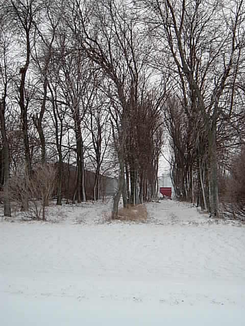 Winnebago, MN : A Winnebago Trail in Winter