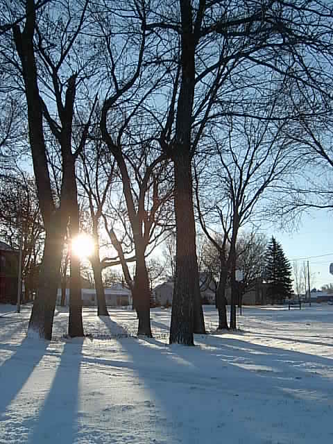 Winnebago, MN: Winter time in Winnebago