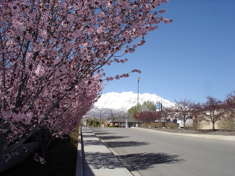 Provo, UT: Mt. Timpanogos from Utah Valley Regional Medical Center