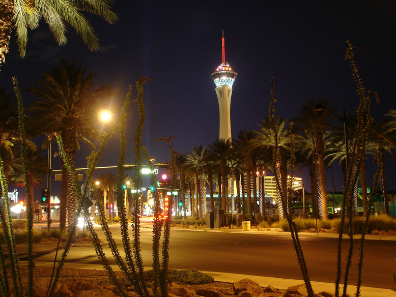 Las Vegas, NV: Stratosphere Tower at Midnight