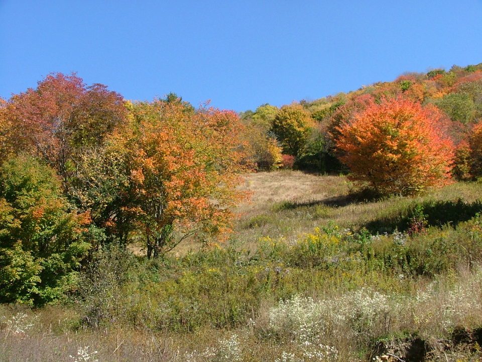 Banner Elk Nc Fall Meadow Photo Picture Image North Carolina