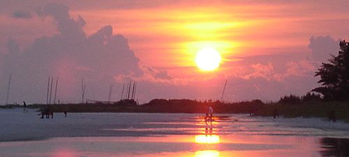 Siesta Key, FL : Siesta Main Beach 7-06