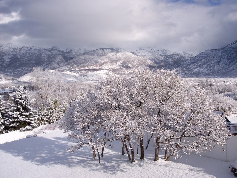 Alpine, UT: 1st snowfall Winter 2004