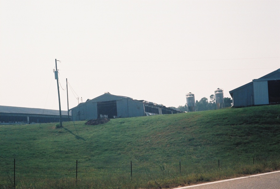 Union, MS : a farmer's chicken houses after Hurricane Katrinia