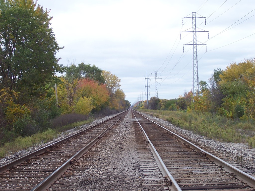 Royal Oak, MI: Train Tracks (Royal Oak)