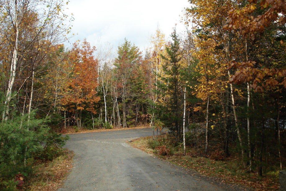 Bar Harbor, ME : Acadia National Park