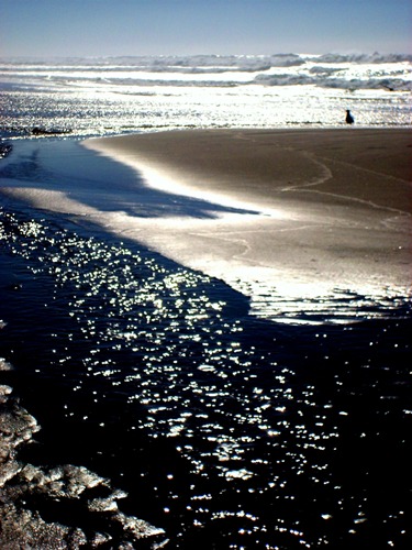 Lincoln City, OR : Beautful day at Lincoln City