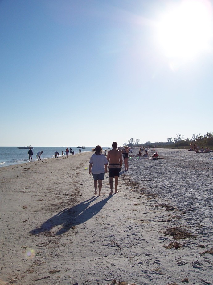 Sanibel, FL : Sanibel Island, FL