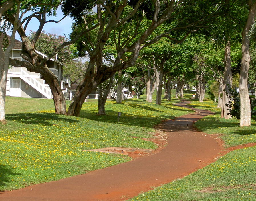 Waipio, HI : Waipio's quiet bike path.
