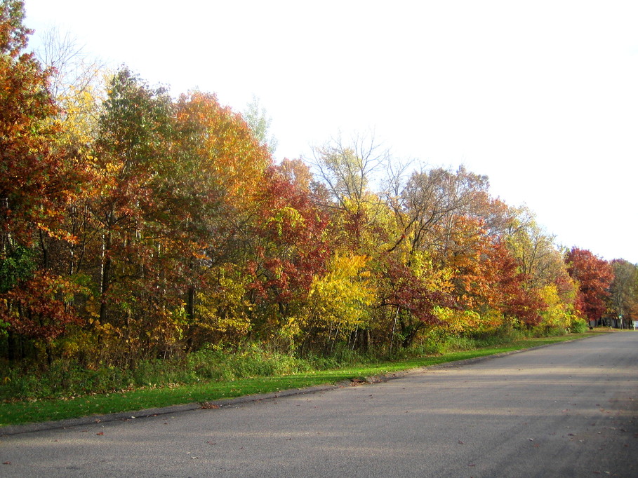 Ramsey, MN: Colors of Fall