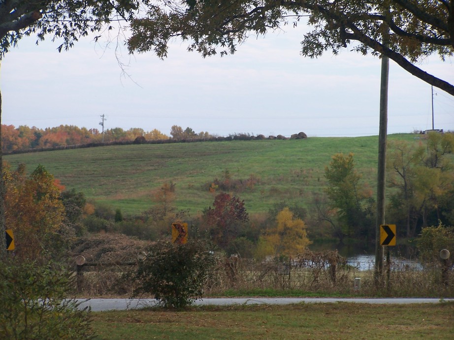 Reidville, SC : A field in Reidville, South Carolina