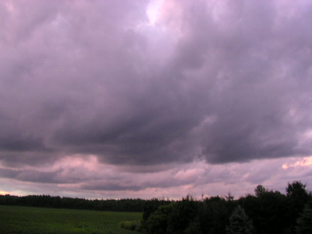 Williamson, NY: From my backyard, a summer storm sky