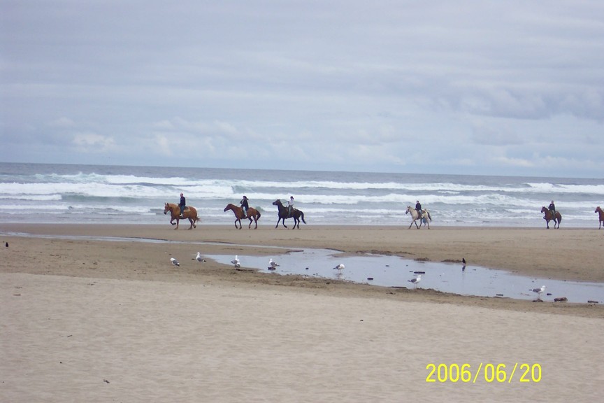 Cannon Beach, OR : Horses on Cannon Beach