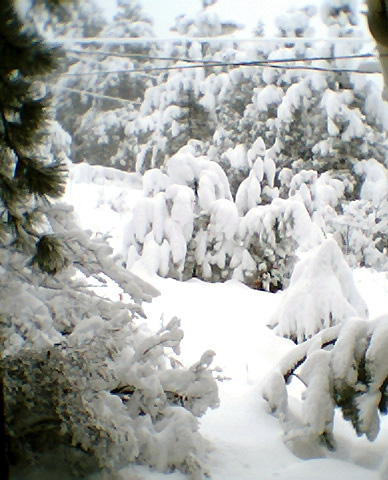 Boulder, CO: First Snow of 2006