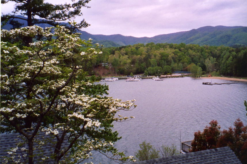 Lake Lure, NC : Lake Lure