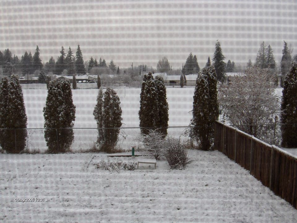 Marysville, WA: View of our back yard and soccer field after 01/09/05 snow storm