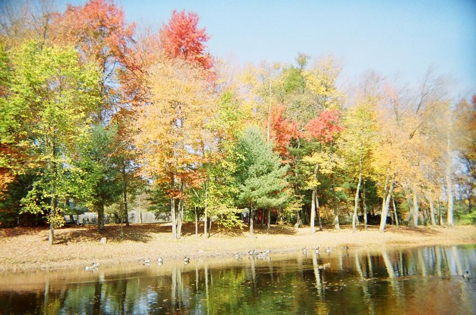 Windham, NH: fall foliage Windhame Nh