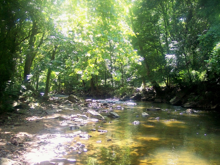 Clifton Heights, PA: Darby Creek