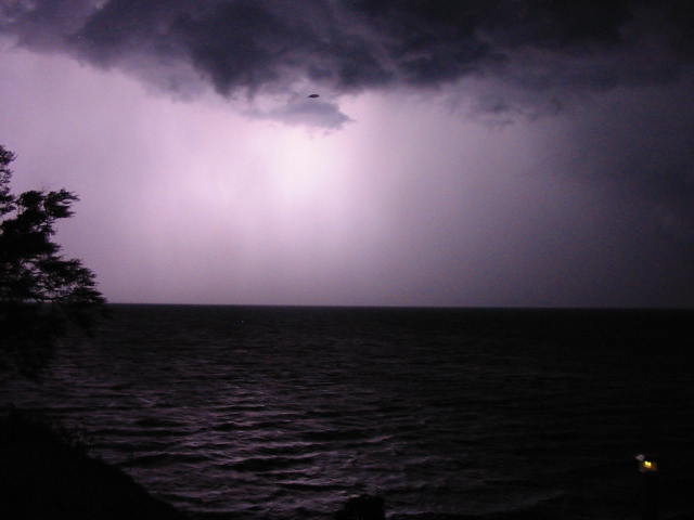 Euclid, OH : My Back Yard Rain