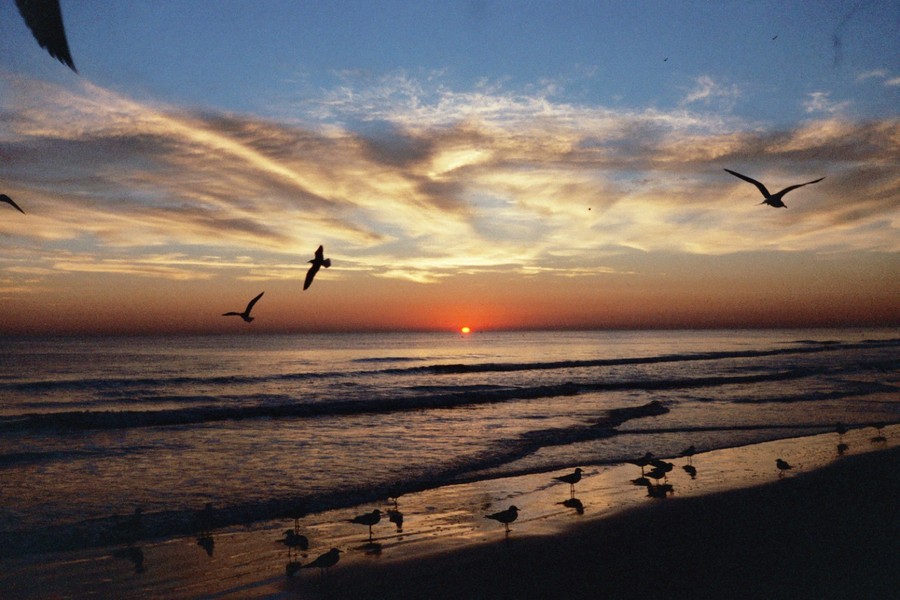 Daytona Beach, FL: Sunrise on Christmas day 2005