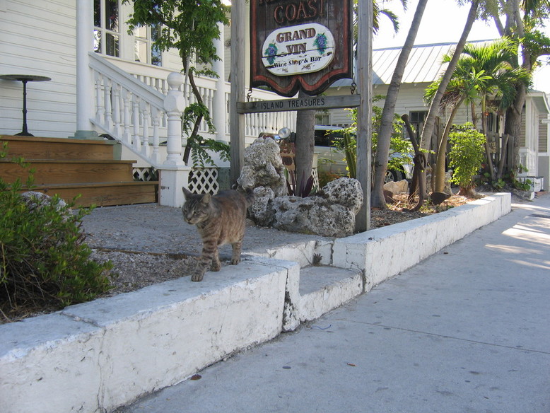 Key West, FL : strolling in key west