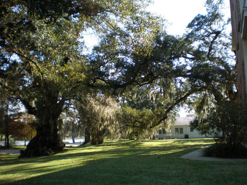 St. Martinville, LA: Bayou Teche