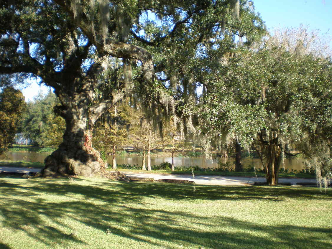 St. Martinville, LA: Bayou Teche in St. Martinville