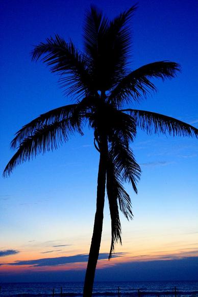 Fort Pierce, FL: Morning Sunrise At The Beach