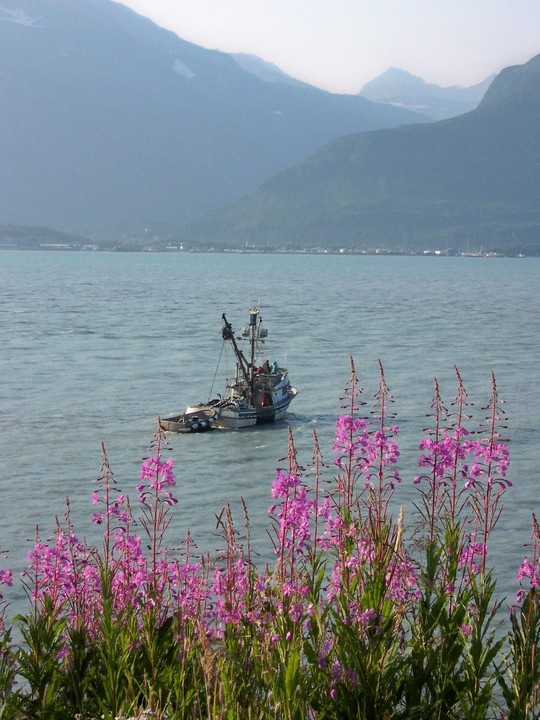 Valdez, AK: Fishing Boat in Valdez Harbor with town of Valdez, Alaska in the background.2004