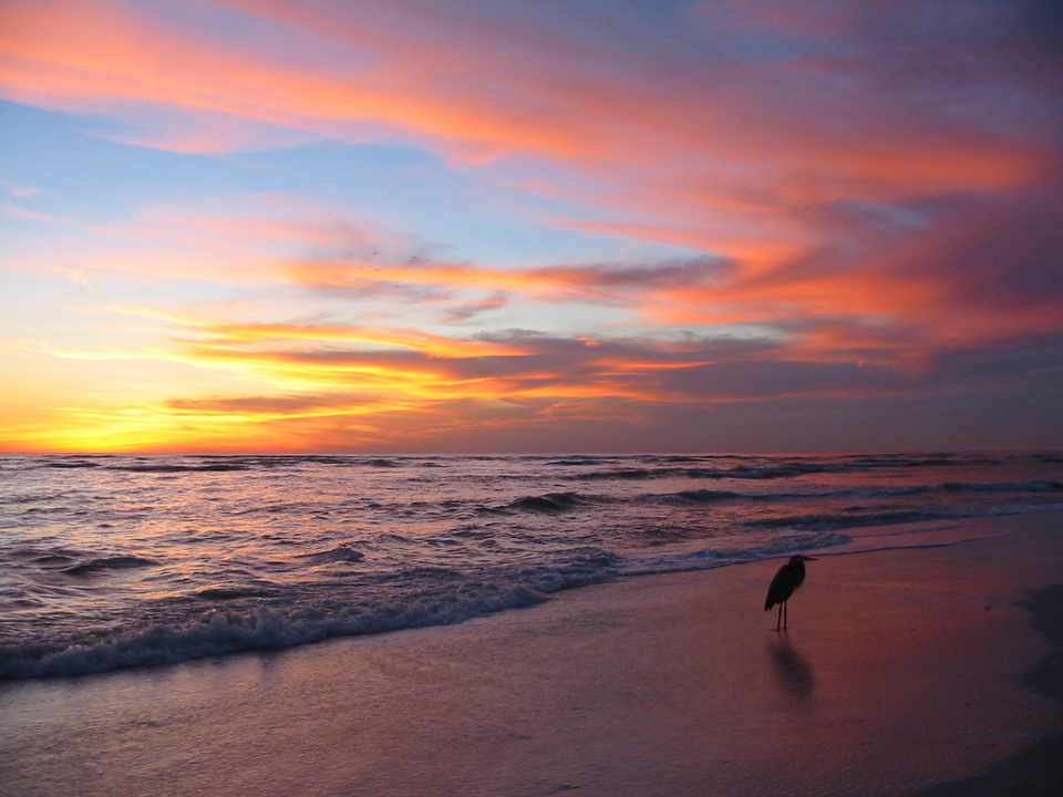 Sarasota, FL : Lido Key Sunset photo, picture, image (Florida) at city