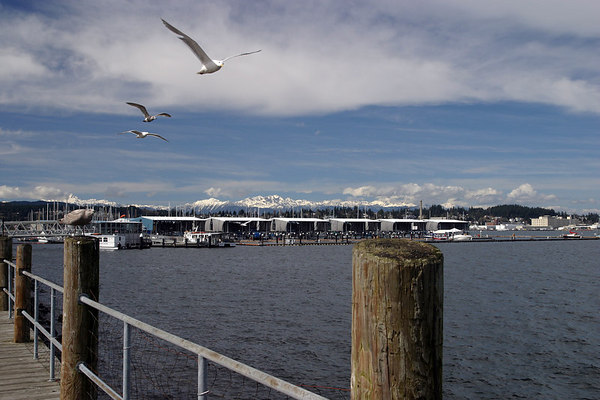 Port Orchard, WA: Flying in Formation