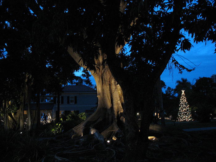 Fort Myers, FL: The Home of Thomas Edison - with Christmas Lights, 2006