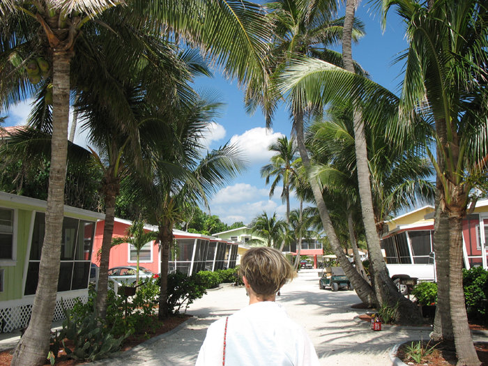 Sanibel, FL : A view of some Sanibel treasures: Blues, greens and white