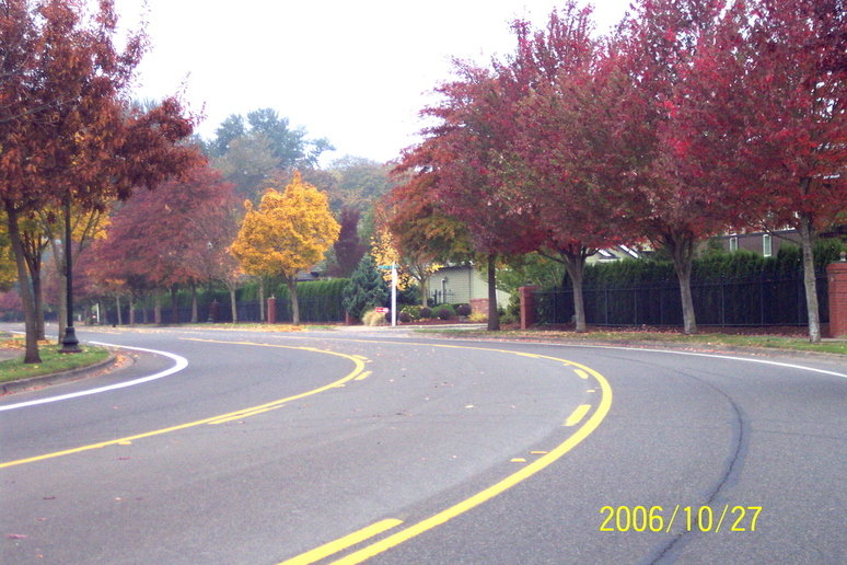 Eugene, OR: Goodpasture Loop,Eugene, in Autumn