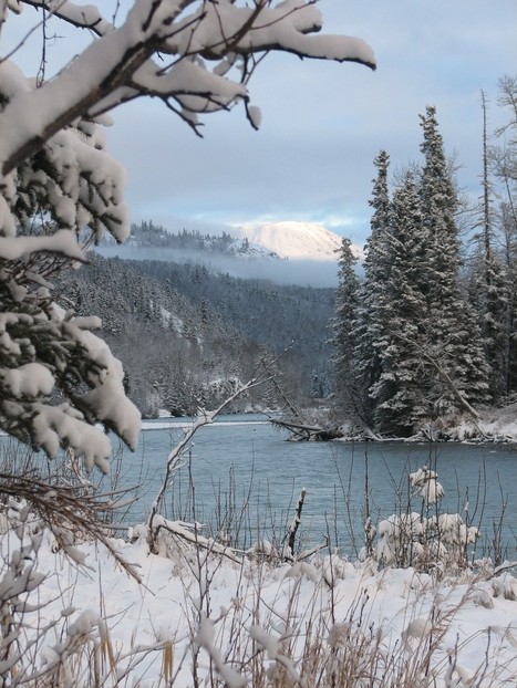 Cooper Landing, AK : KenaiRiver at Jim's Landing