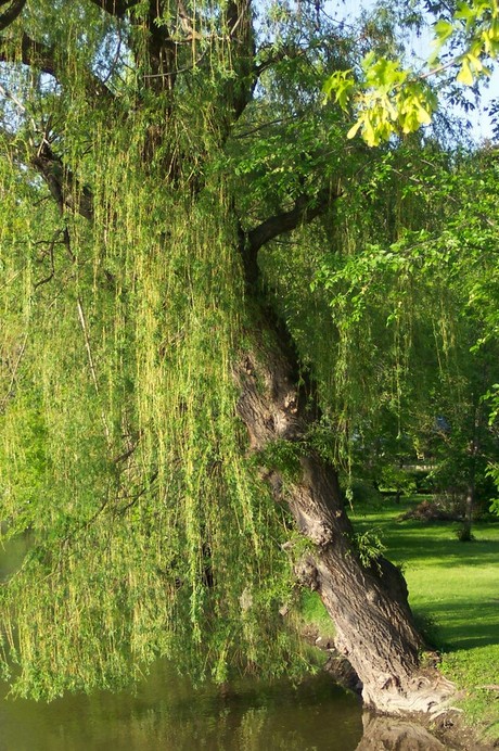 Waukesha, WI : Bethesda Park near downtown Waukesha