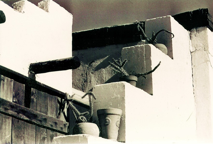 Mesilla, NM : Cactus in clay pots decorate home in Old Mesilla, NM