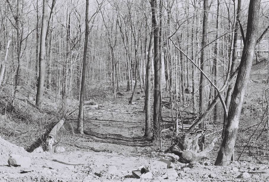 Livingston, NJ: Path in winter woods