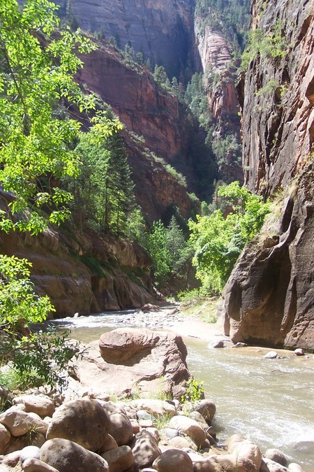 Springdale, UT : Virgin River in Springdale Utah