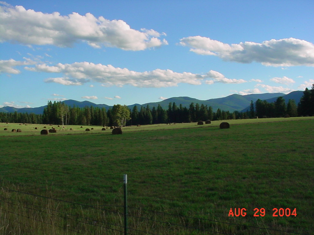 Thompson Falls, MT : Blueside Road is a curving residential and country road that follows the brilliant Clark Fork River. This photo depicts that cliff areas thaone of the farms during haying season.