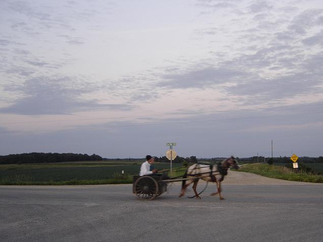 St. Charles, MN : Amish Couple