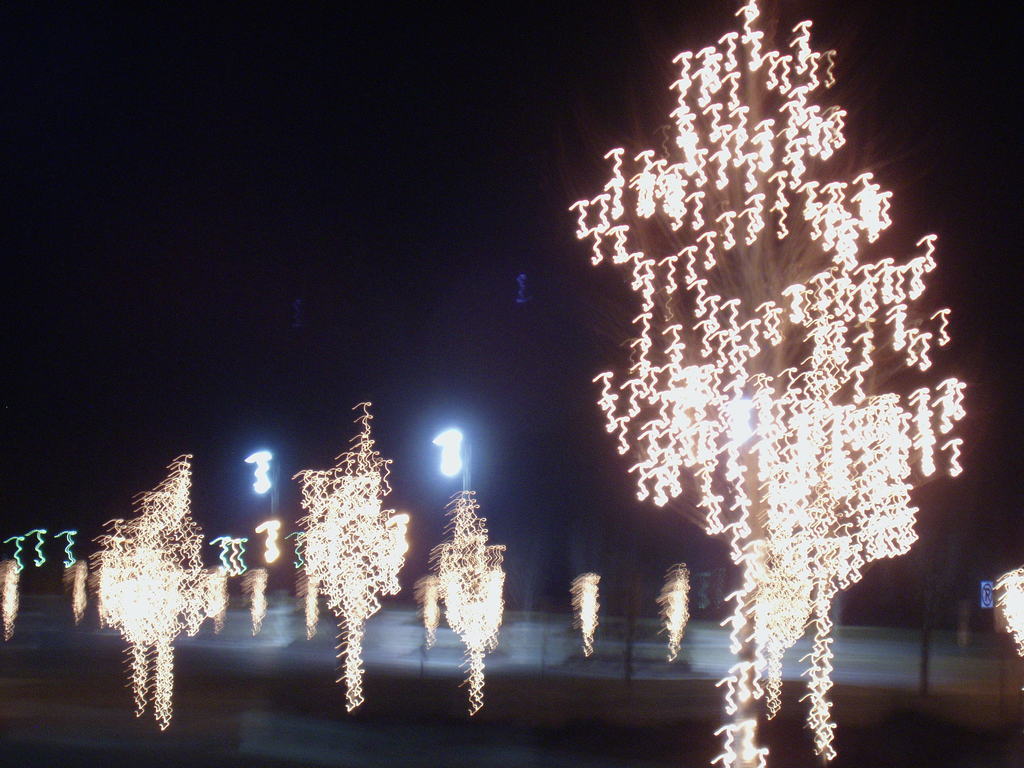 Marshall, MN: Part of the downtown area with christmas lights on trees at night.
