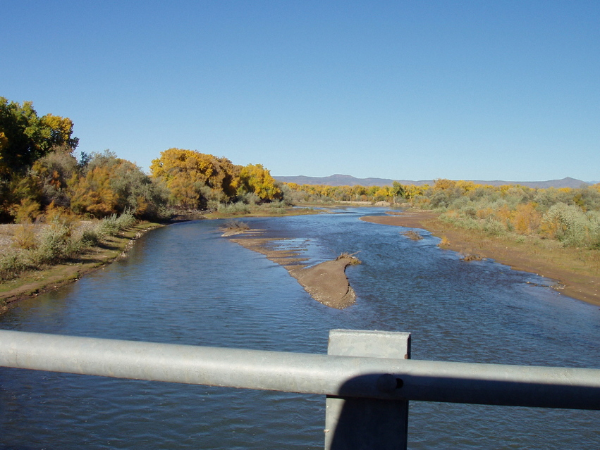 Santo Domingo Pueblo, NM : cottonwoods on the rio grande