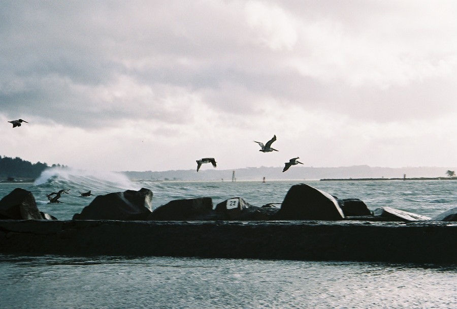 Eureka, CA : North Jetty, Eureka, CA