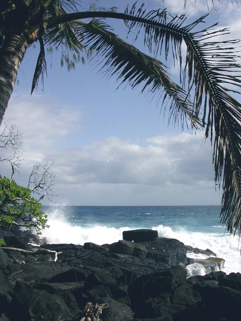Hawaiian Paradise Park, HI: Makuu Point