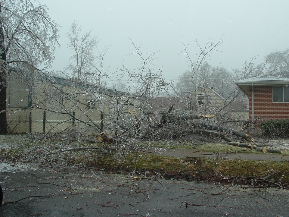 Sullivan, MO: Ice Damage during the Frost of 2007